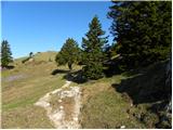 Stahovica - Kapela Marije Snežne (Velika planina)